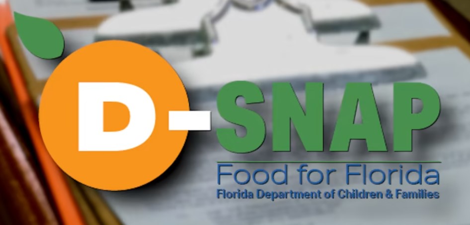 D-snap florida